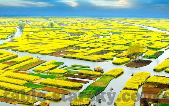 6球探足球比分-6球探足球比分，解锁绿茵场上的数据密码