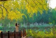 mk体育官网下载-MK体育官网，掌握最新体育资讯的绝佳平台